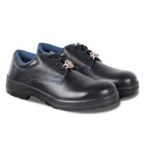 Security Shoes